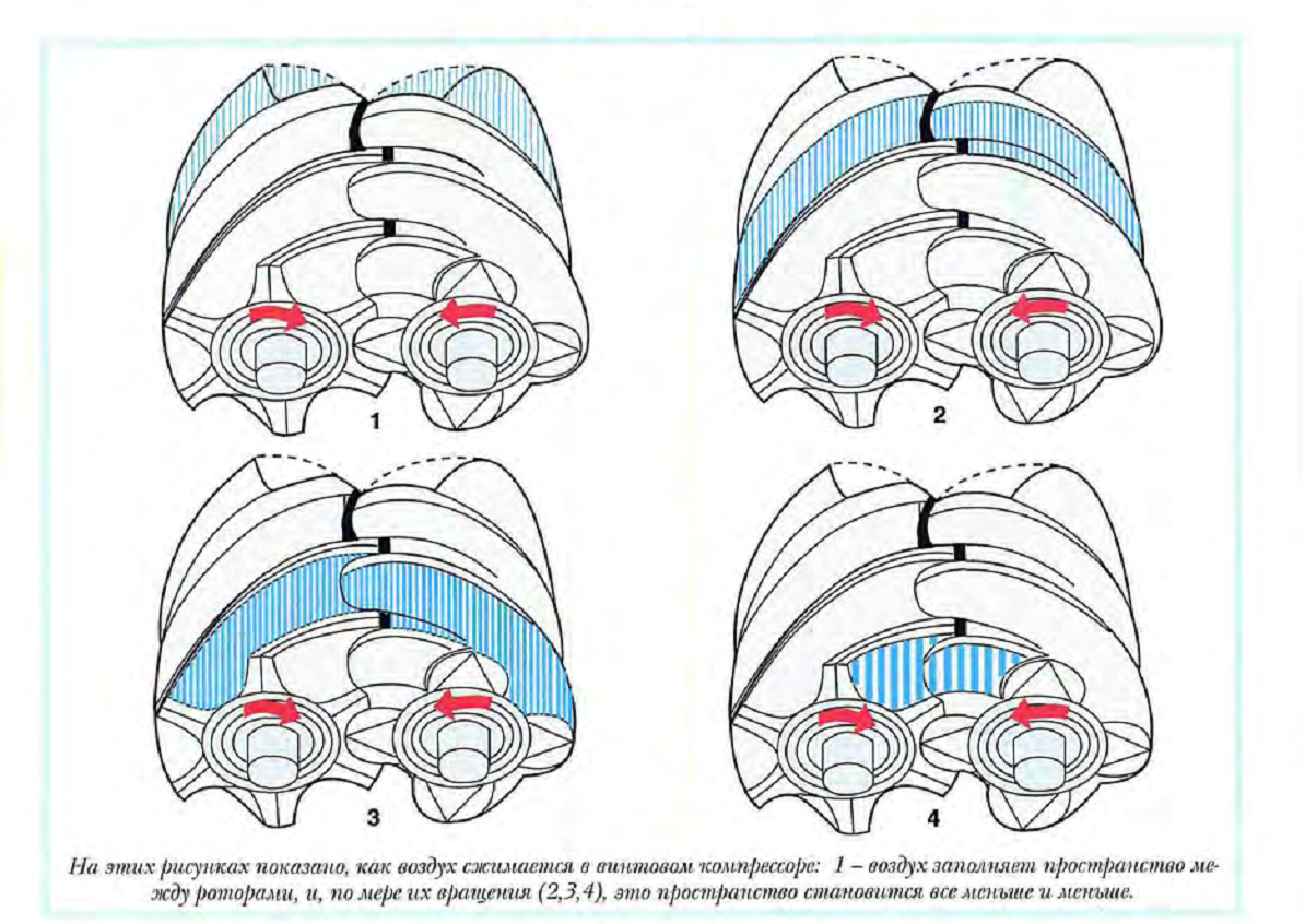 Принцип действия винтового компрессора