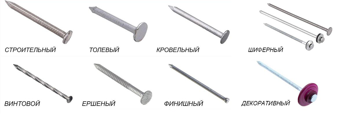 gvozdi_vidy_shema_statya.png
