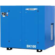 Компрессор Remeza ВК100‑8