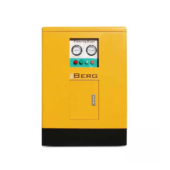 Осушитель рефрижераторный Berg ОВ-55 (до 40 бар)